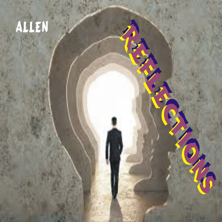 Net Seuns by Allen
