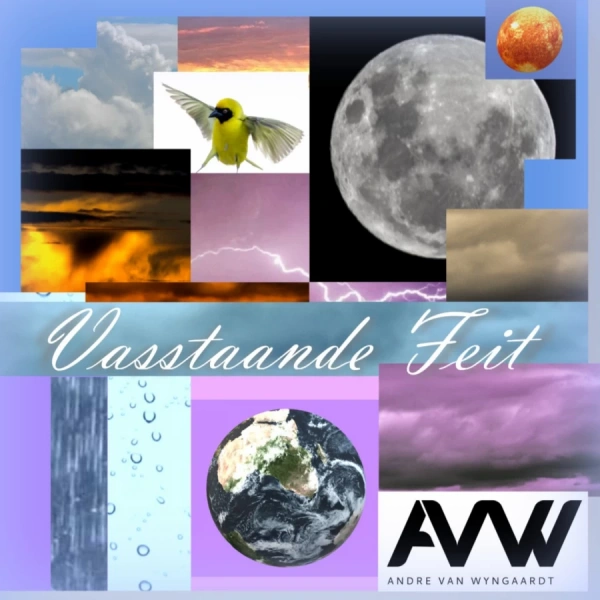 Vasstaande Feit artwork