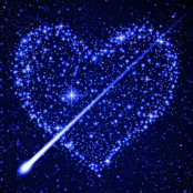 ANDREWMESTERREREEN7CD7AED24636