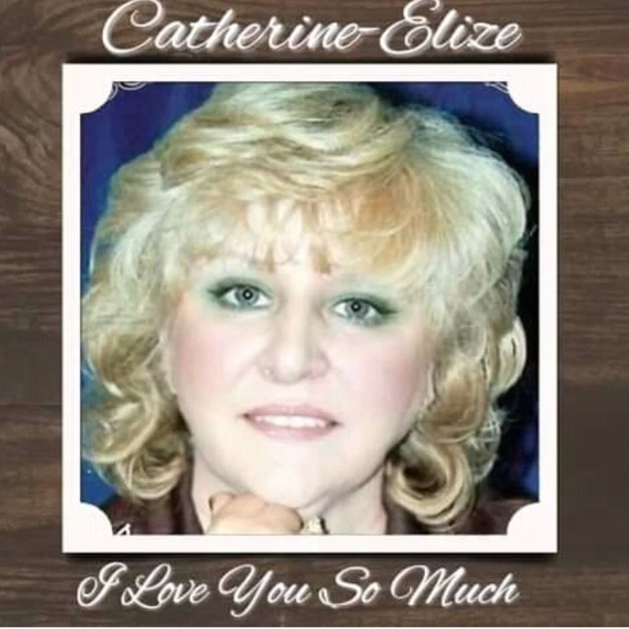 Liefde in die Lug by Catherine - Elize