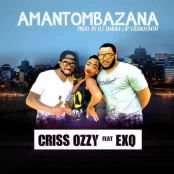 Amantombazana artwork