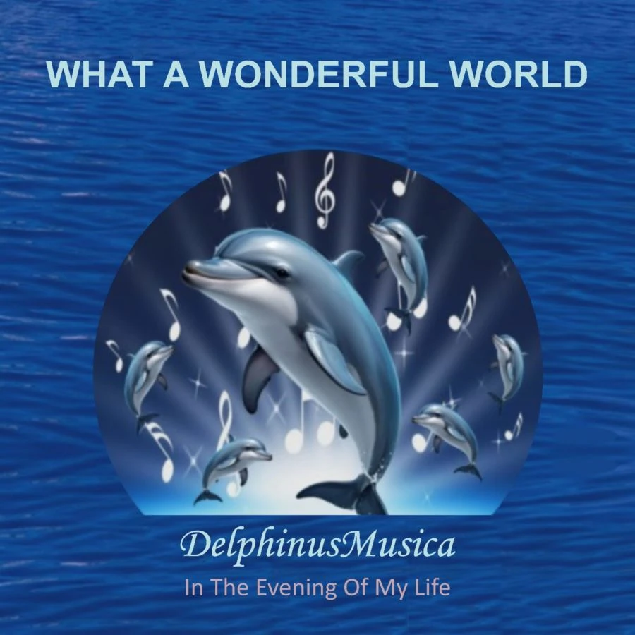 What A Wonderful World by DelphinusMusica