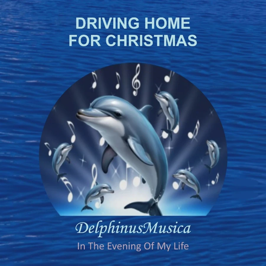 Driving Home For Christmas by DelphinusMusica