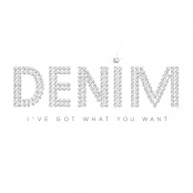 I've Got What You Want artwork