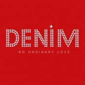 No Ordinary Love artwork