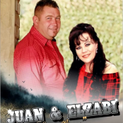 ELZABIBULIEFLING393EF0379553DB