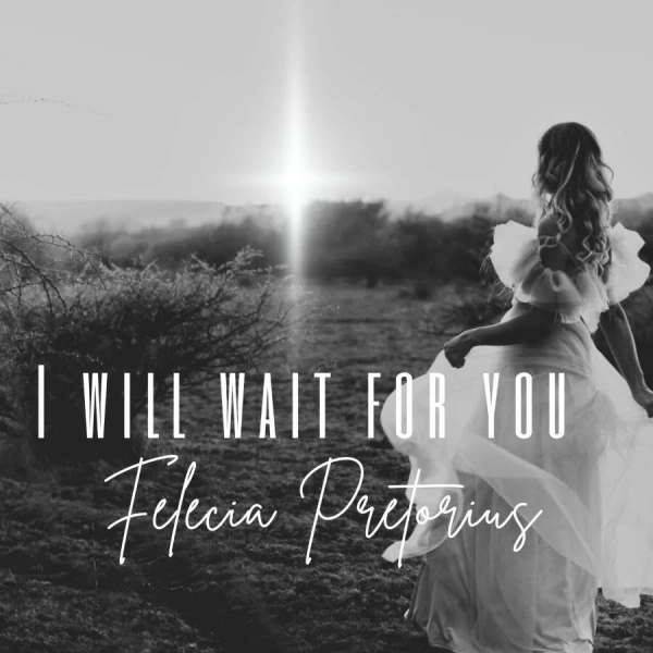 I Will Wait For You artwork