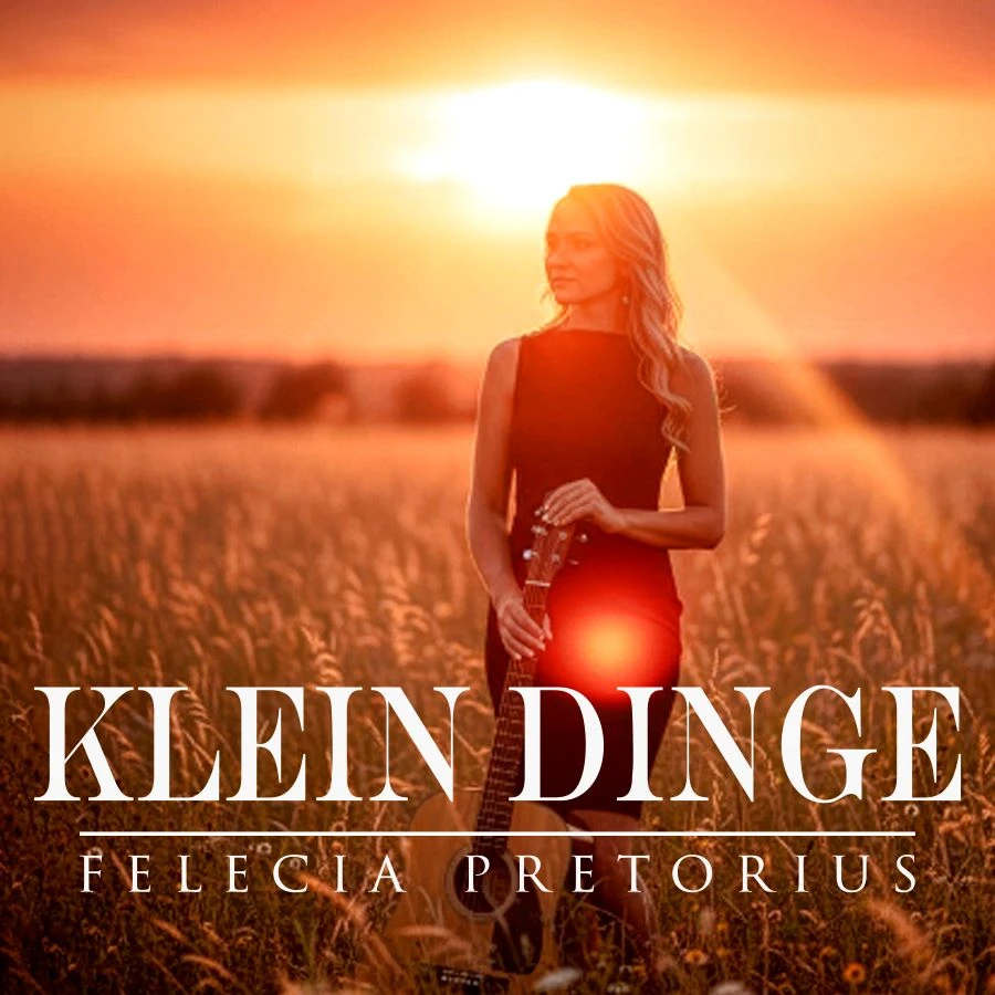 Klein Dinge by Felecia Pretorius