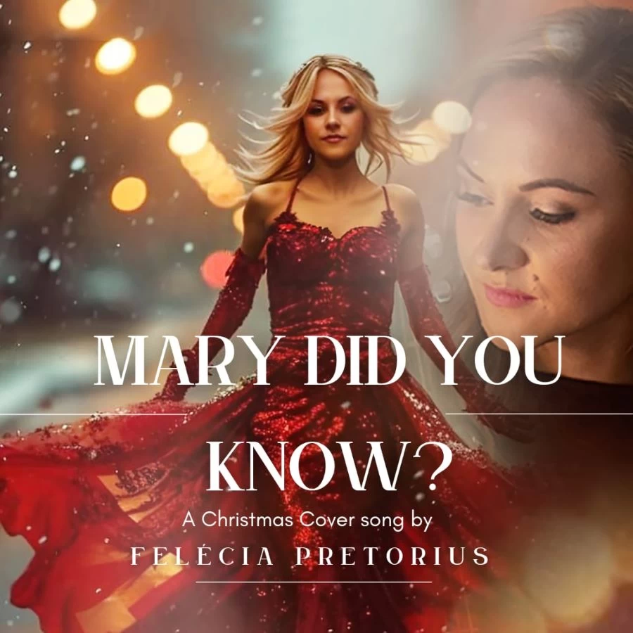 Mary Did You Know by Felecia Pretorius