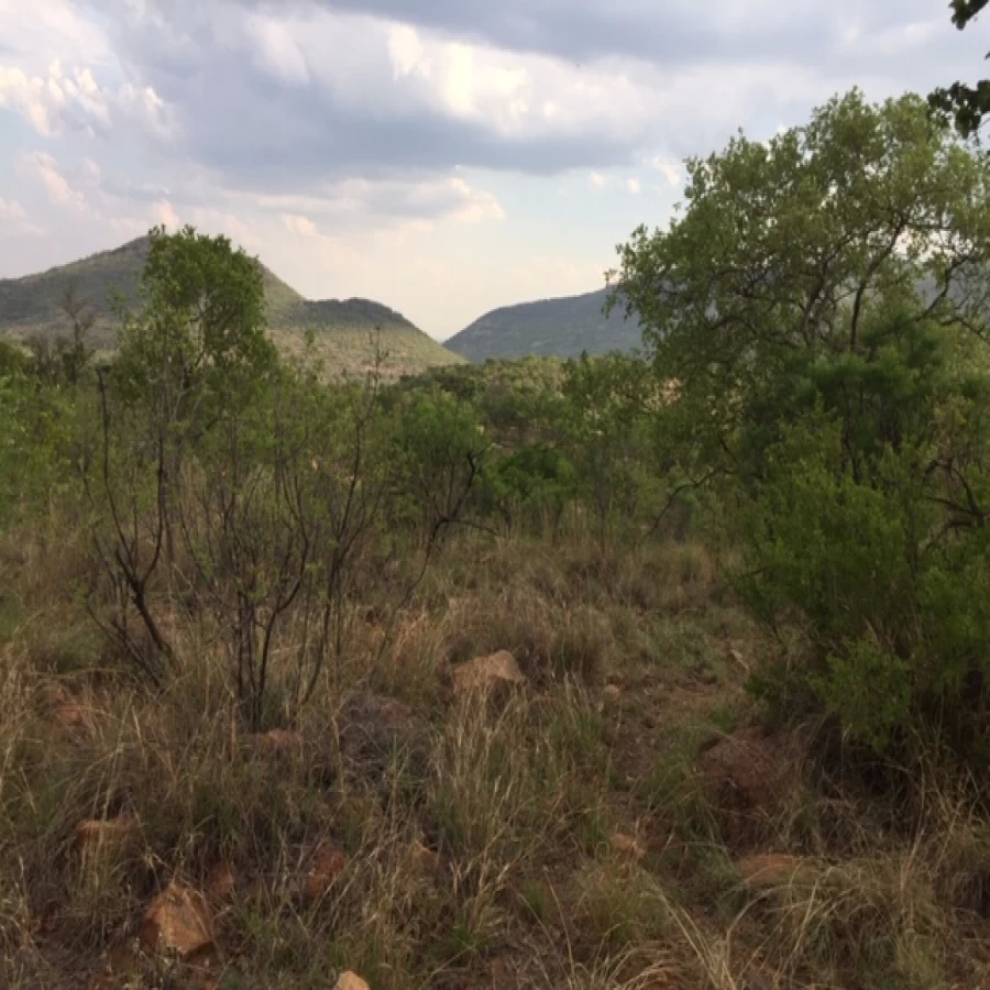 Zwartkloof and the battle at the Black Ravine by JOHN EDMOND