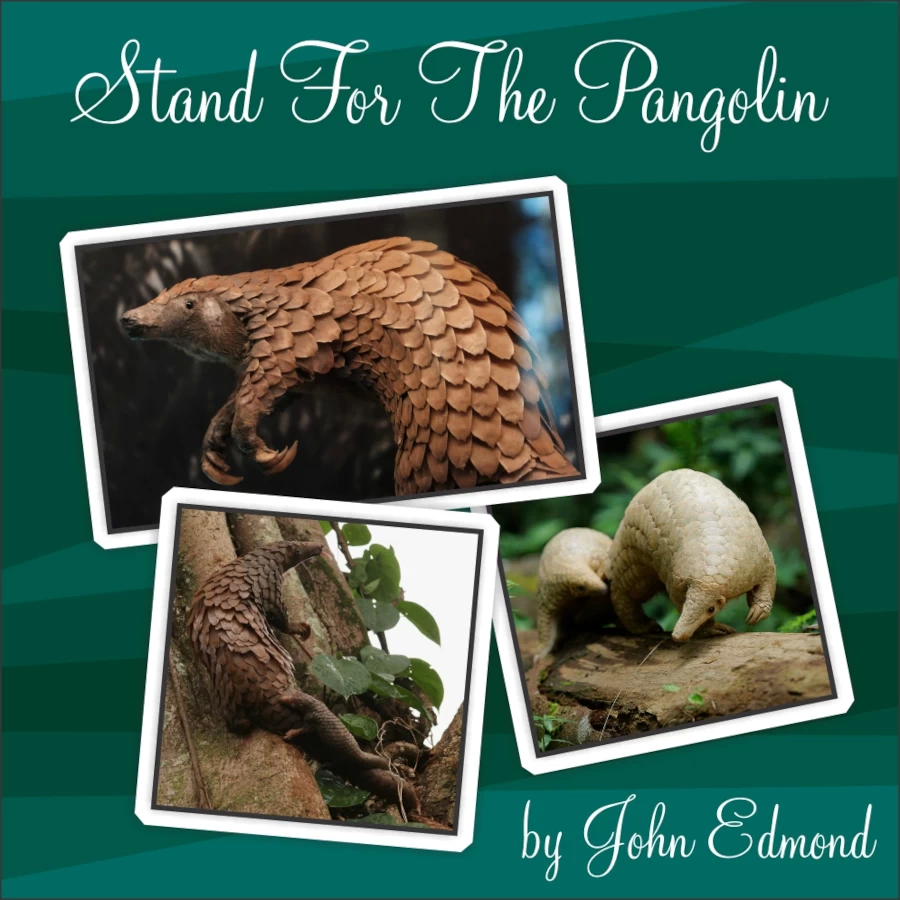 Pangolin by John Edmond