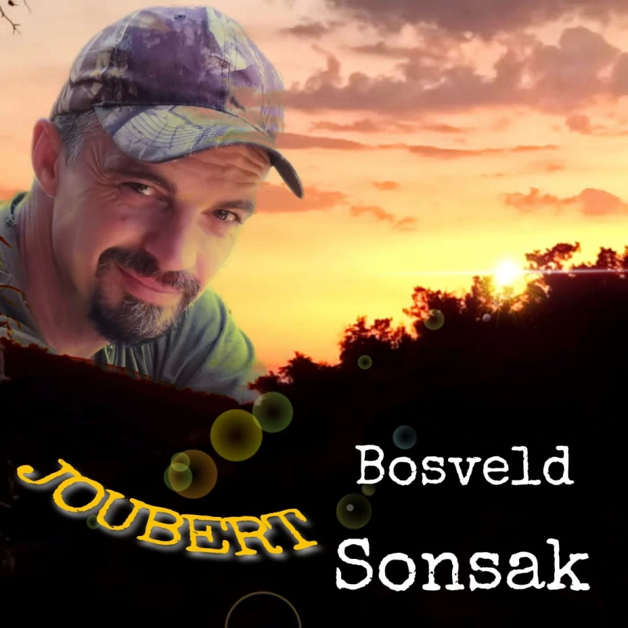Bosveld Sonsak by Joubert Artist