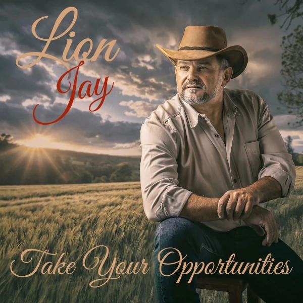 Take Your Opportunities artwork