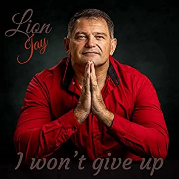I Wont Give Up artwork