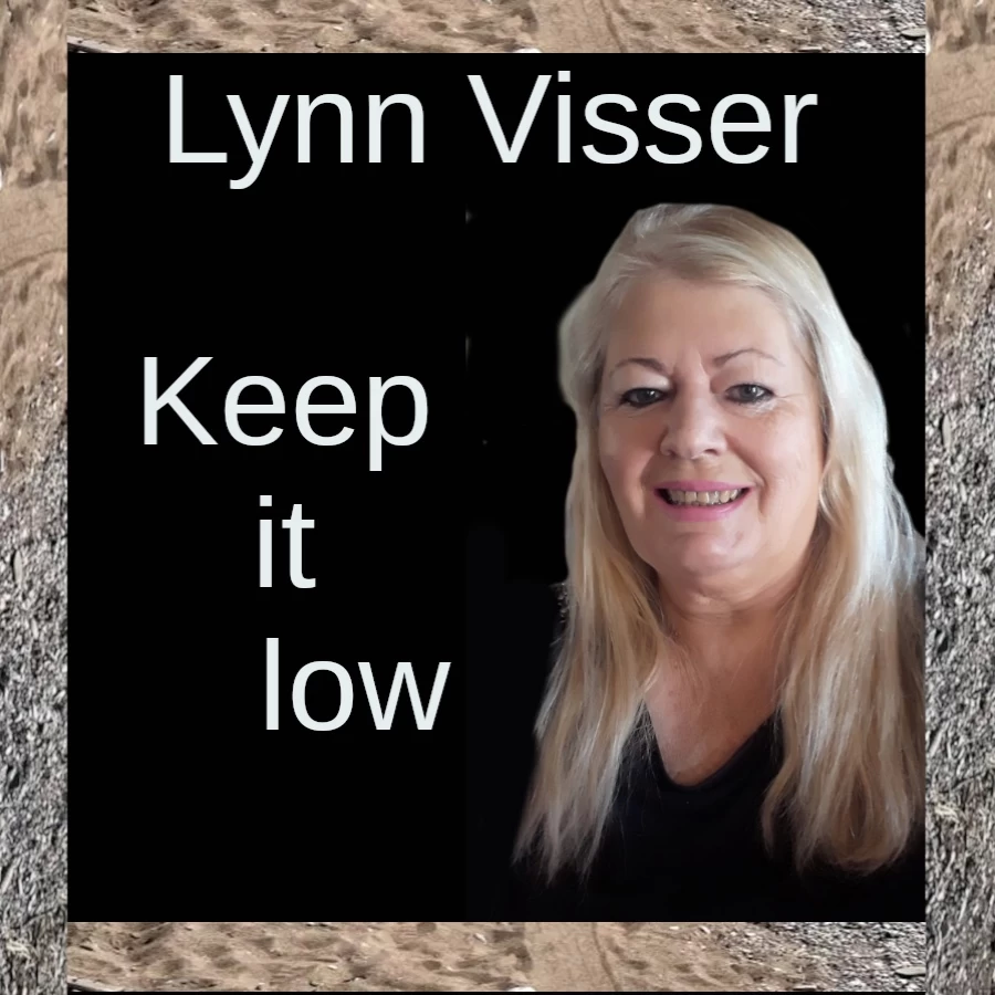 Keep it low by Lynn Visser