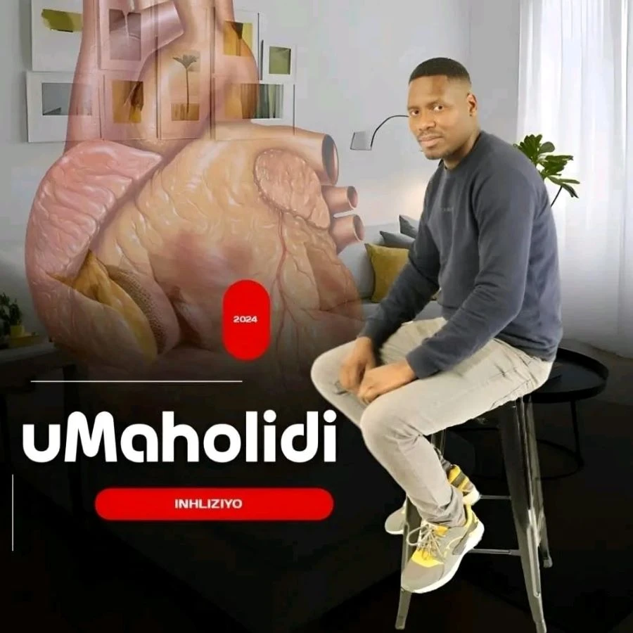 Ufuniphutha by Maholidi Khuboni