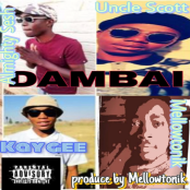 MELLOWTODAMBAI2E87EA446B878B79