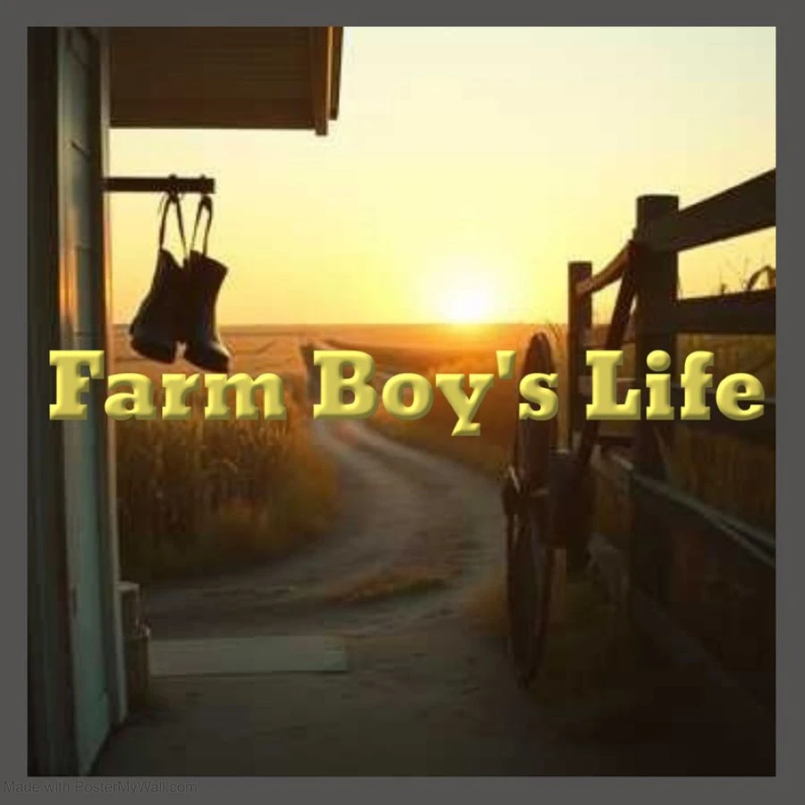 ProductPlaceholder for PIETAVENFARMBOYSLIFEE867FC7972 for PIETAVENFARMBOYSLIFEE867FC7972