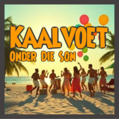 PIETAVENKAALVOETONDERDIESO2E4B