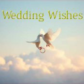 PIETAVENWEDDINGWISHESADCFE66F7