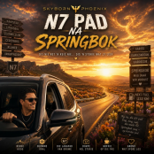 N7 Pad na Springbok artwork
