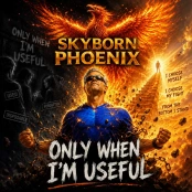 Only when I'm Useful artwork