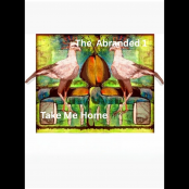 Take Me Home artwork