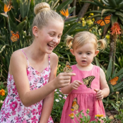 VOCALISTE9381A299453BDF9F038646