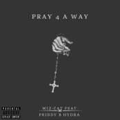 WIZCAT9A4C0216F2FDE3FEA31BB7EB9